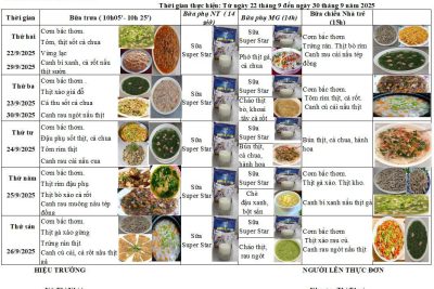 Thông báo thực đơn tuần III