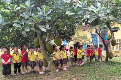 Hoạt động ngoài trời lớp 3 tuối C trường mầm non Nghĩa Châu