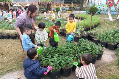 Hoạt động trải nghiệm chăm sóc vườn rau, vườn hoa của bé lớp 3 tuổi B trường mầm non Nghĩa Châu